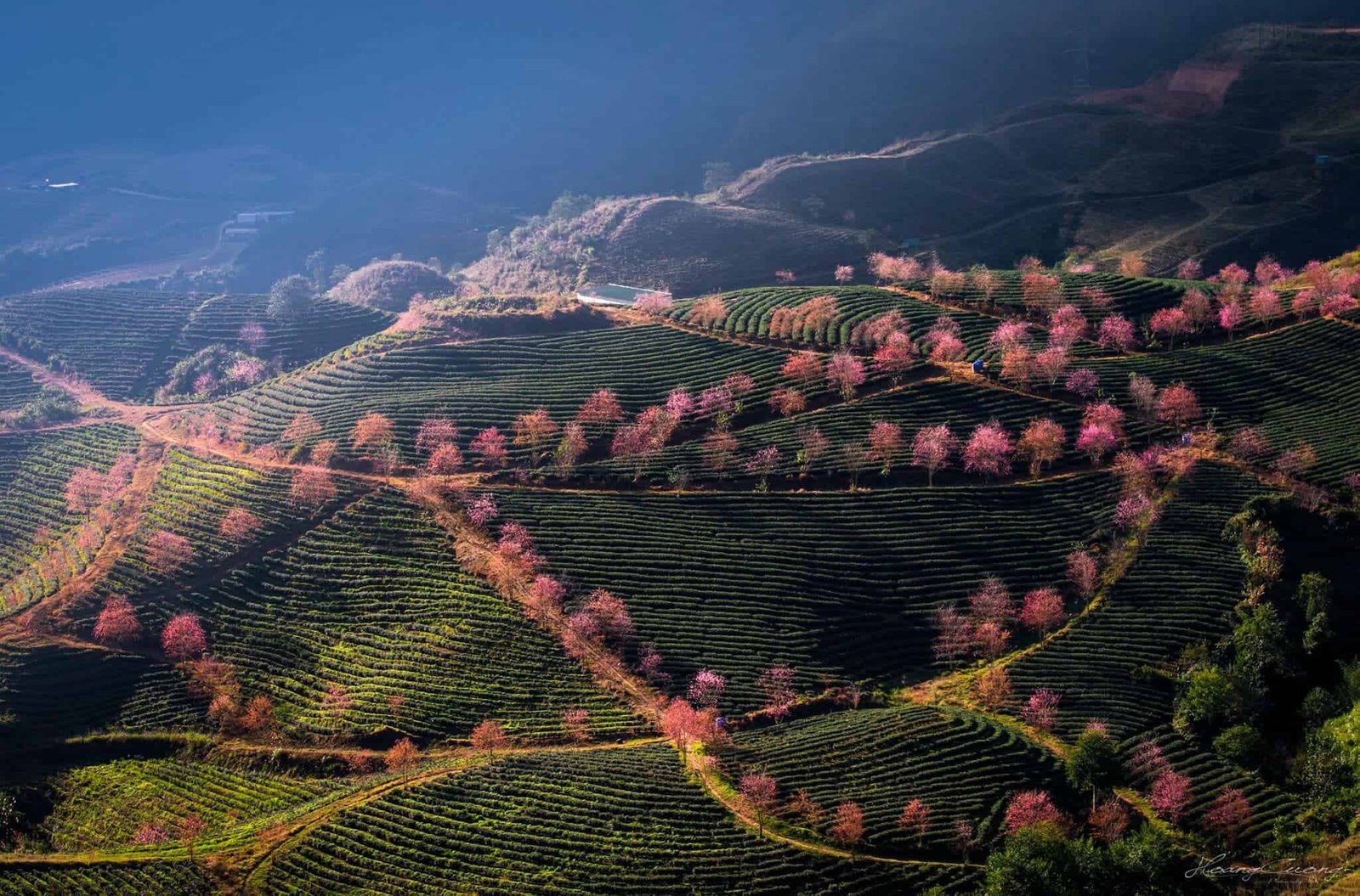 Exploring the Red Dao Heartland: The Ultimate Guide to Ta Phin Cycling